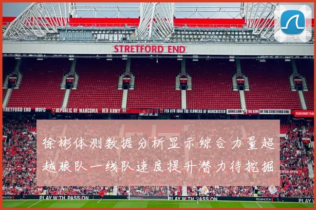 徐彬体测数据分析显示综合力量超越狼队一线队速度提升潜力待挖掘